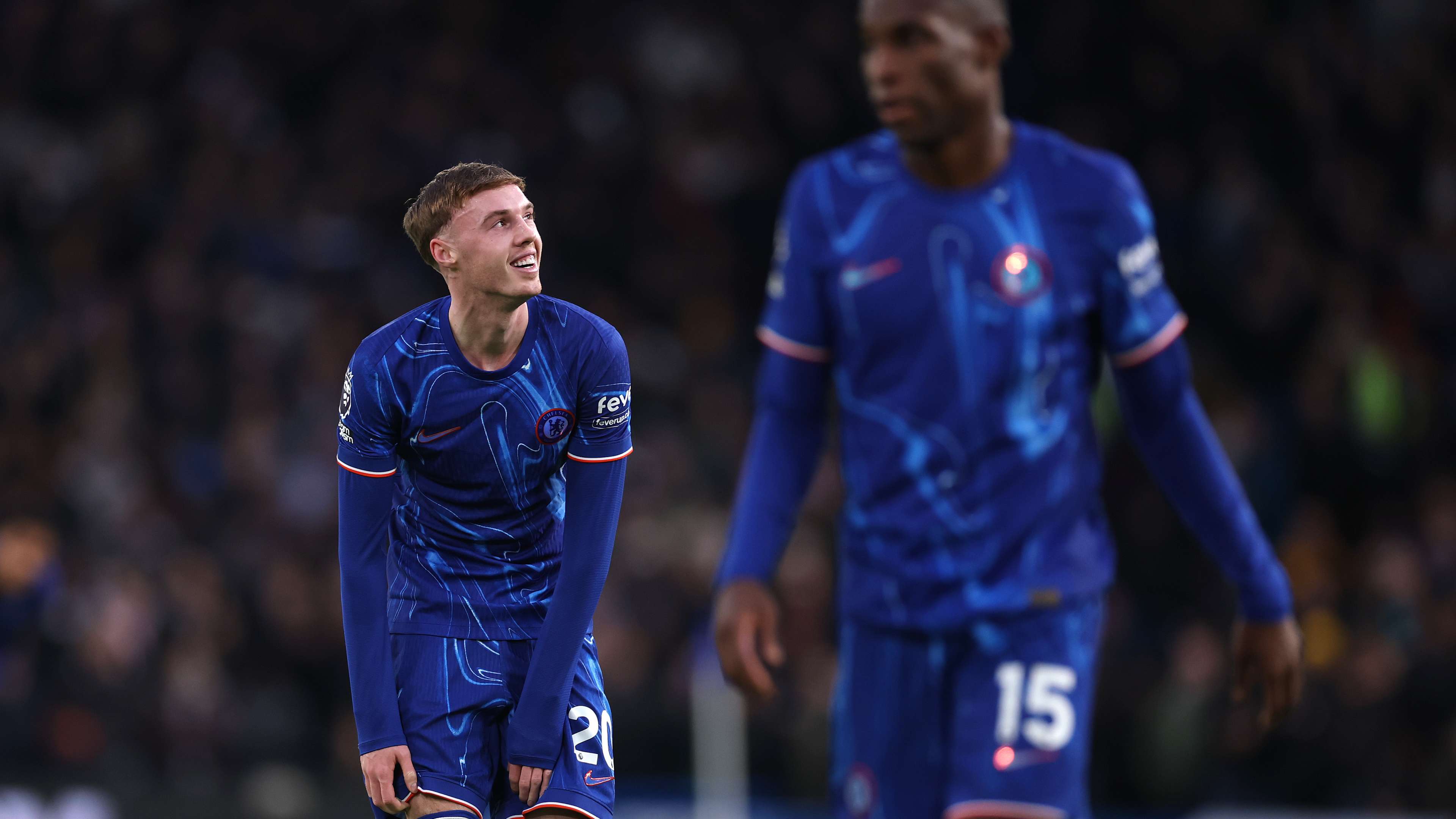 赏和对未来 赏和对未来