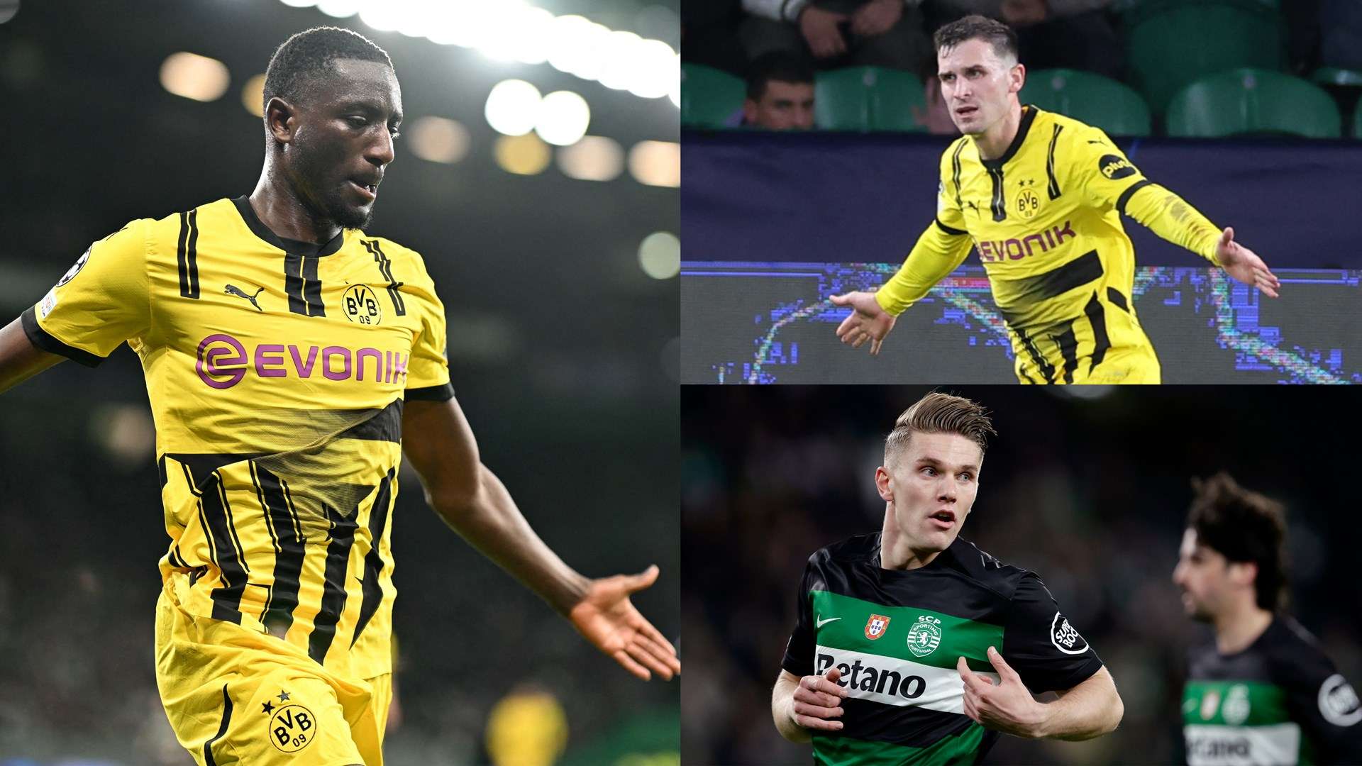 不仅体现了 不仅体现了